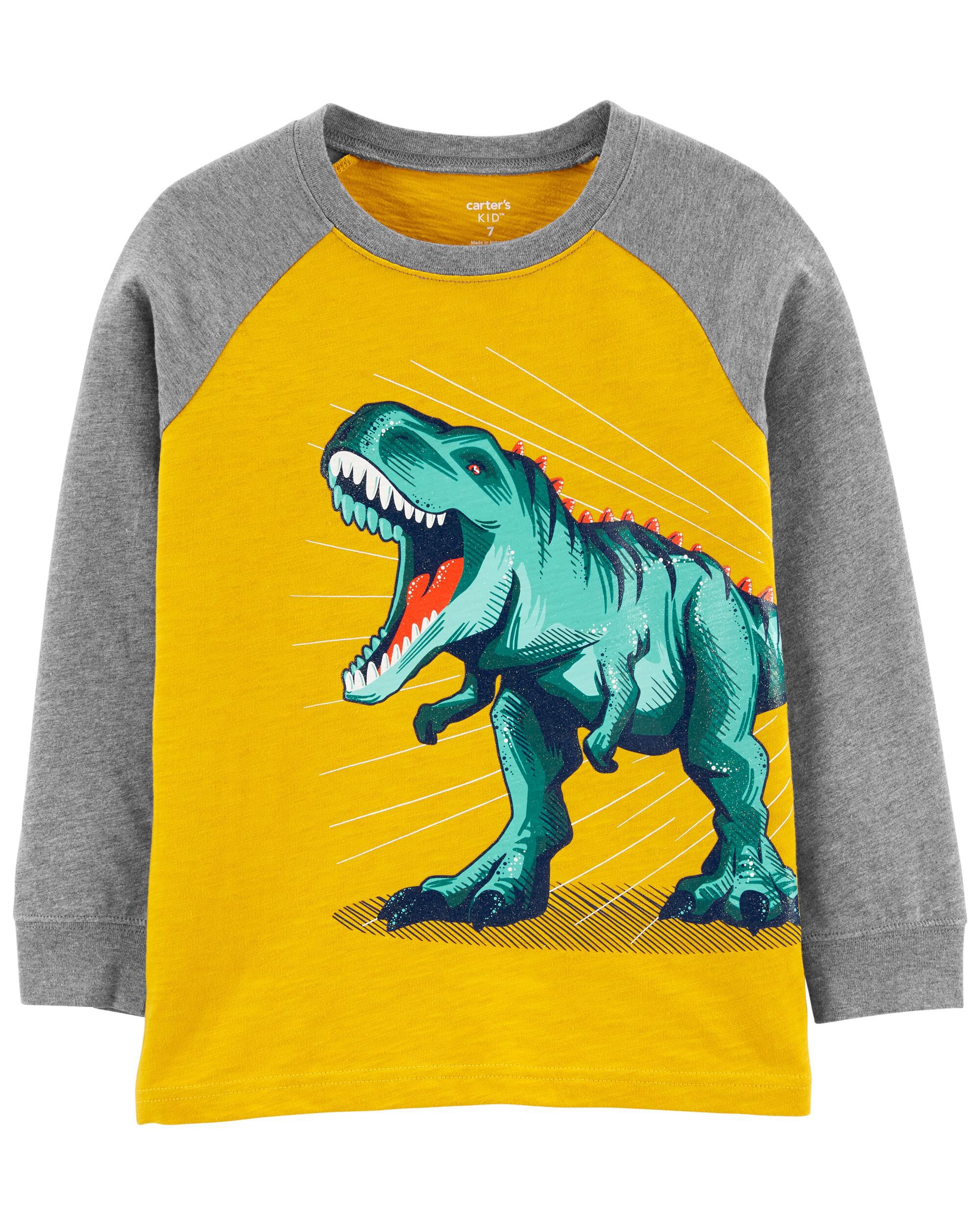 *CLEARANCE* Dinosaur Raglan Slub Jersey Tee