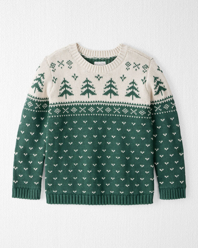 Product image 1 of Kid Organic Cotton Evergreen Fair Isle Sweater 