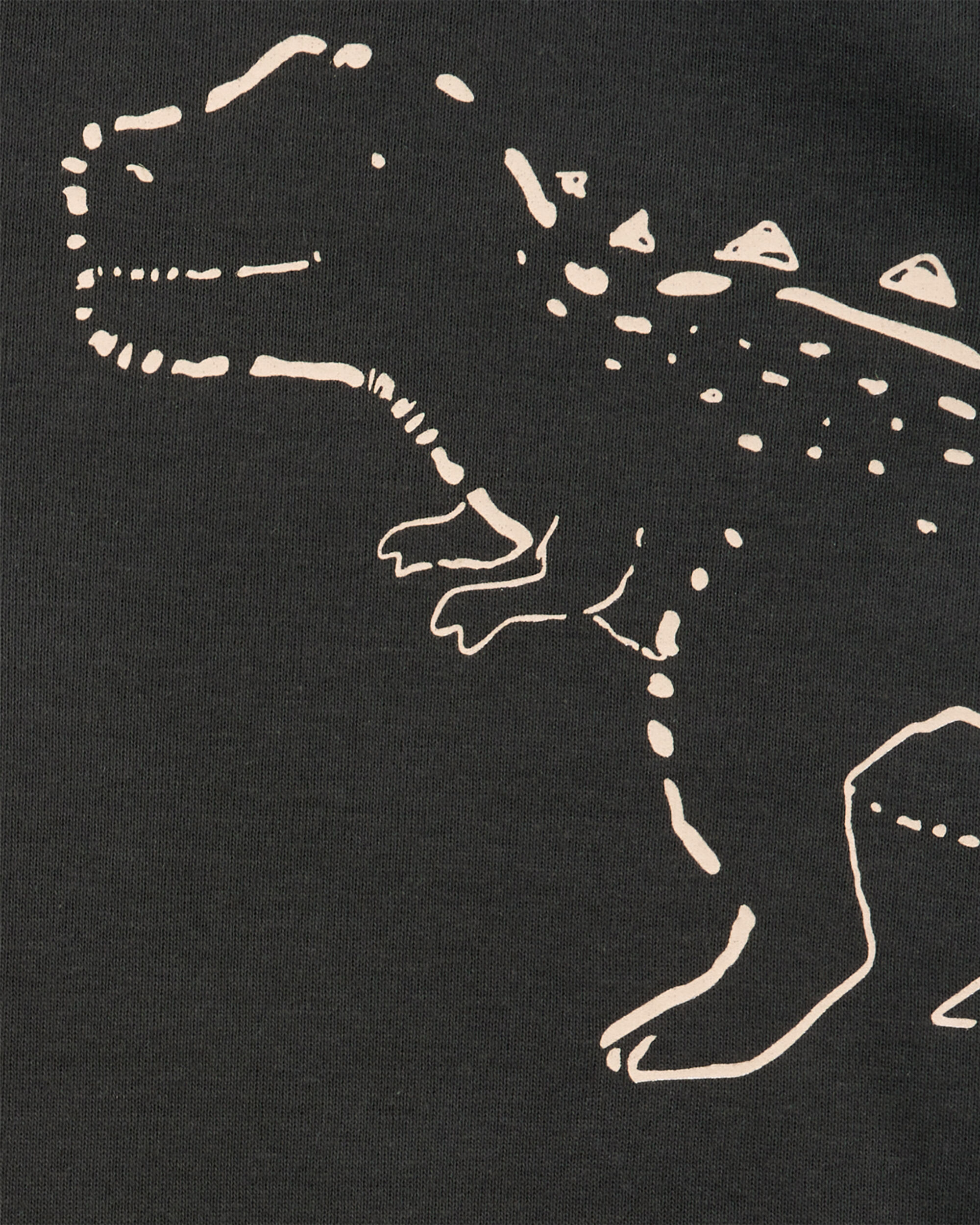 Baby 2-Piece Dinosaur Bodysuit Pant Set - Black/Taupe