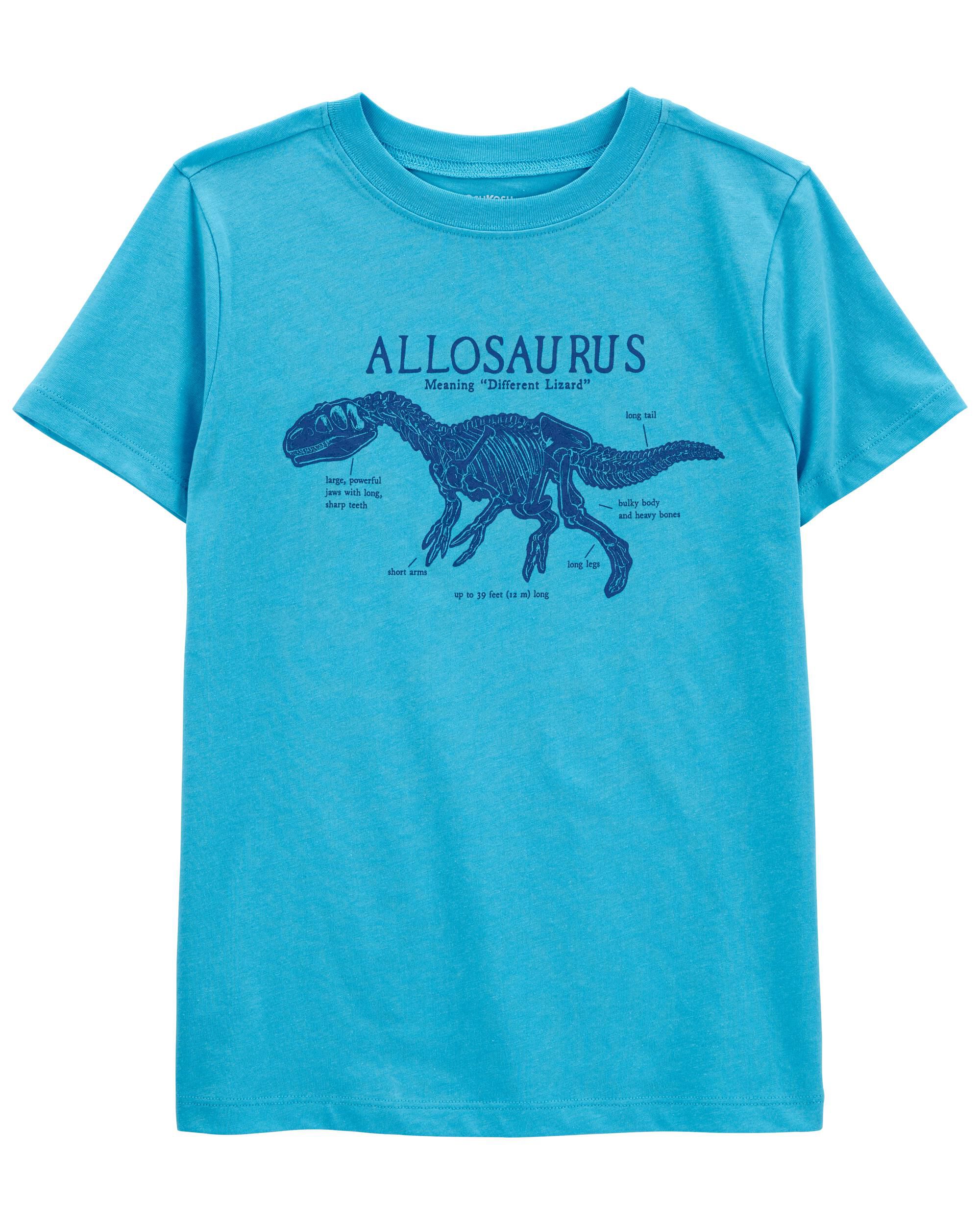Dinosaur shirt 4t clearance