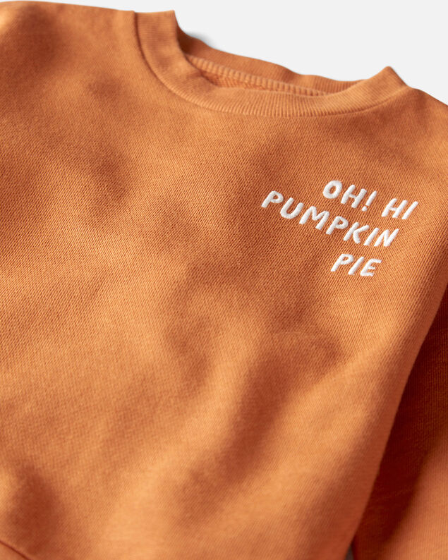 Product image 2 of Toddler Organic Cotton Pumpkin Pie Sweatshirt