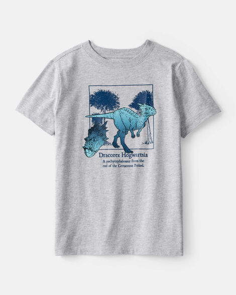 boys dinosaur short-sleeve graphic tee - grey