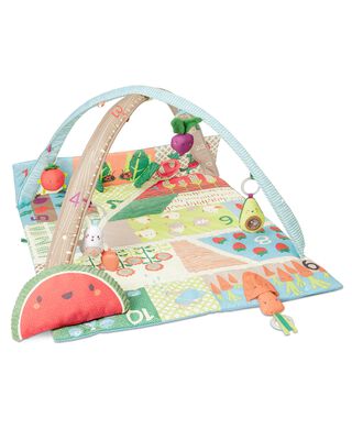 Product image 1 of Farmstand Grow & Play Activity Gym