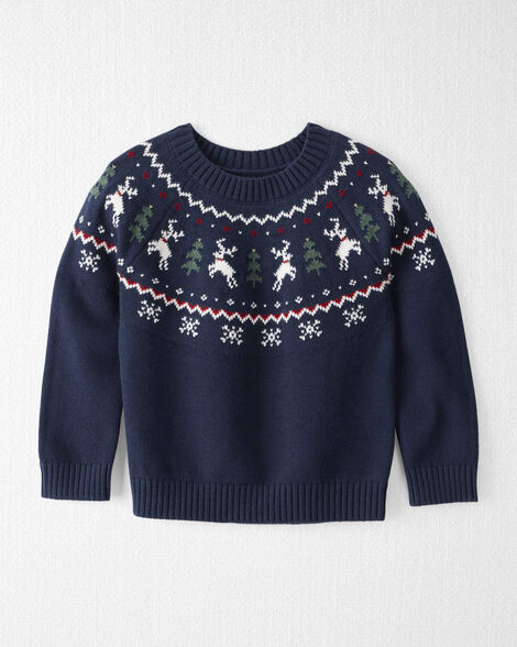 Toddler Organic Cotton Fair Isle Sweater Knit Pullover