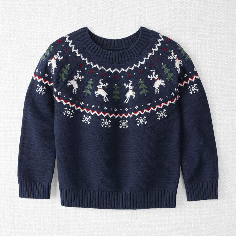 Toddler Organic Cotton Fair Isle Sweater Knit Pullover