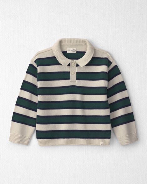 Toddler Boy Organic Cotton Sweater Knit Polo in Stripes