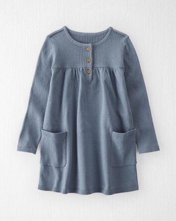 Toddler Organic Cotton Ribbed Sweater Knit Dress in Blue
