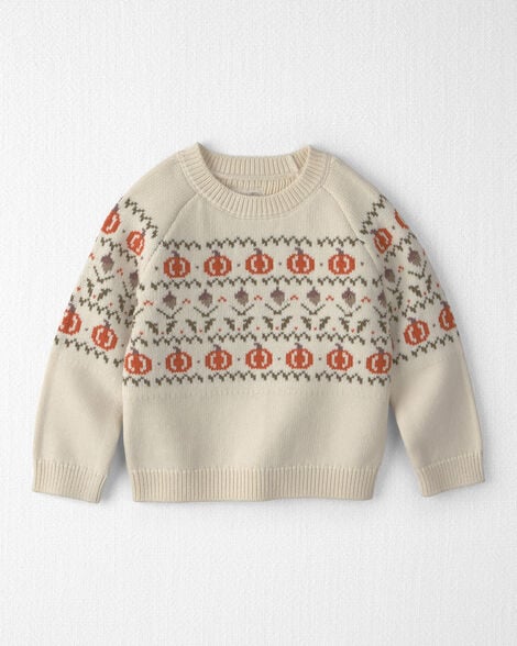 Toddler Organic Cotton Fair Isle Sweater Knit Pullover