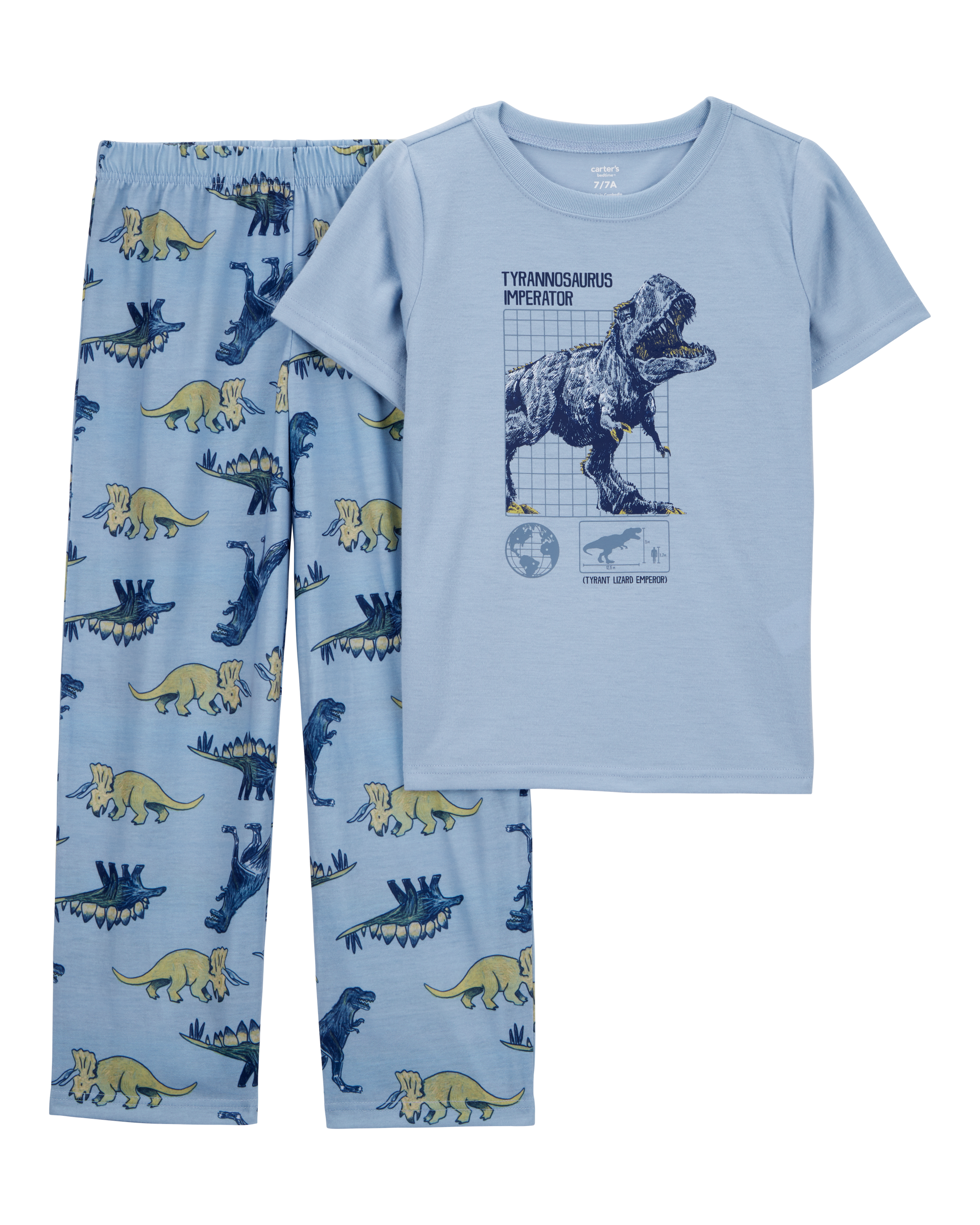 Boys Dinosaur Loose Fit 2-Piece Pajamas - Blue
