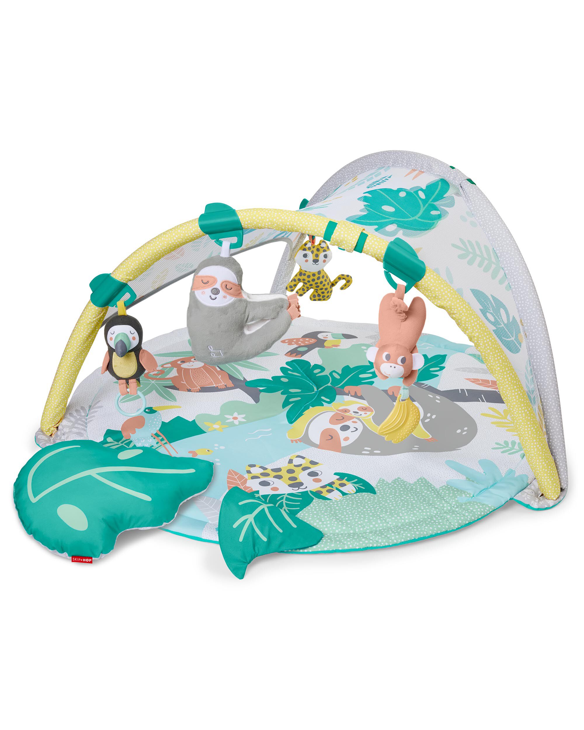 carter's play gym