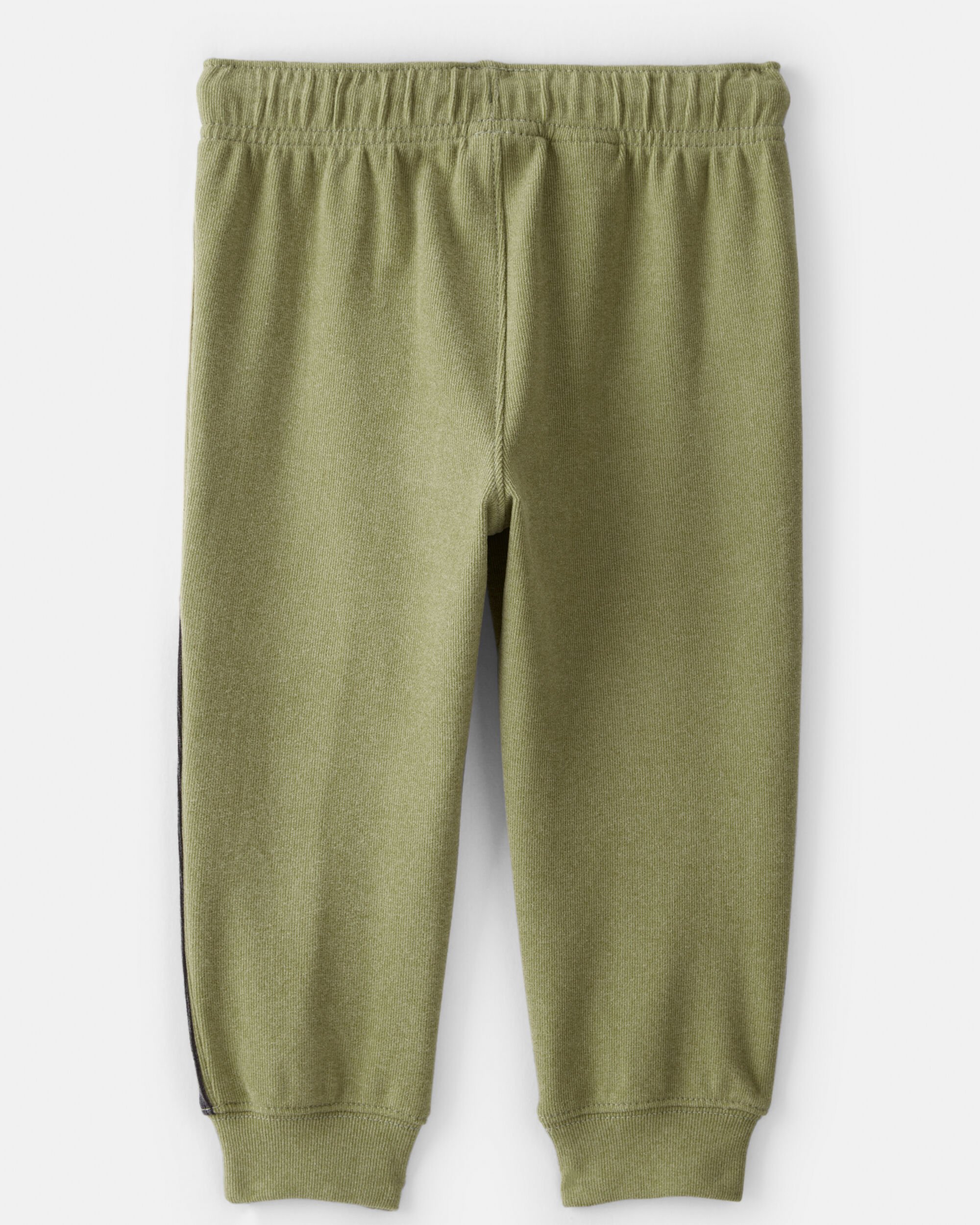 Toddler Boy Colorblock Joggers - Green