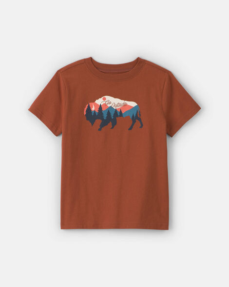 boys buffalo mountain graphic tee - brown