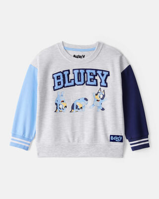 Product image 1 of Toddler Boy Bluey Colorblock French Terry Sweatshirt - Grey