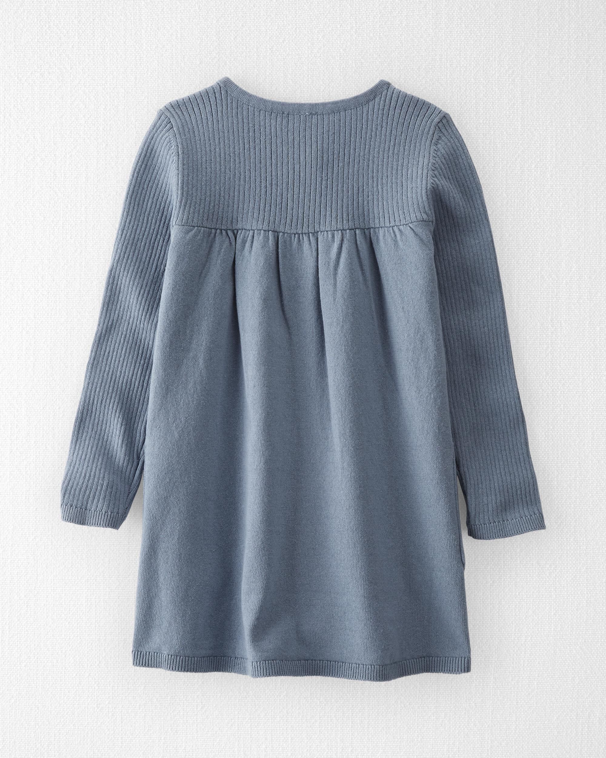 Carters sweater dress cheap