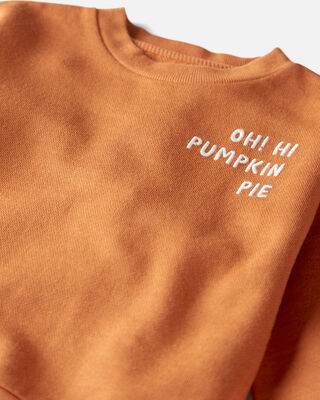 Product image 2 of Toddler Organic Cotton  Oh Hi Pumpkin Pie Pullover 