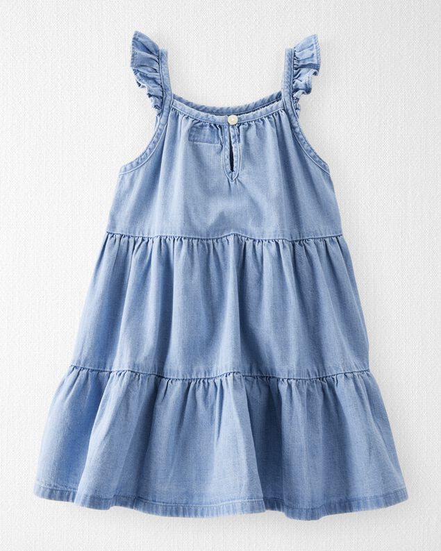 Product image 2 of Toddler Organic Cotton Chambray Dress