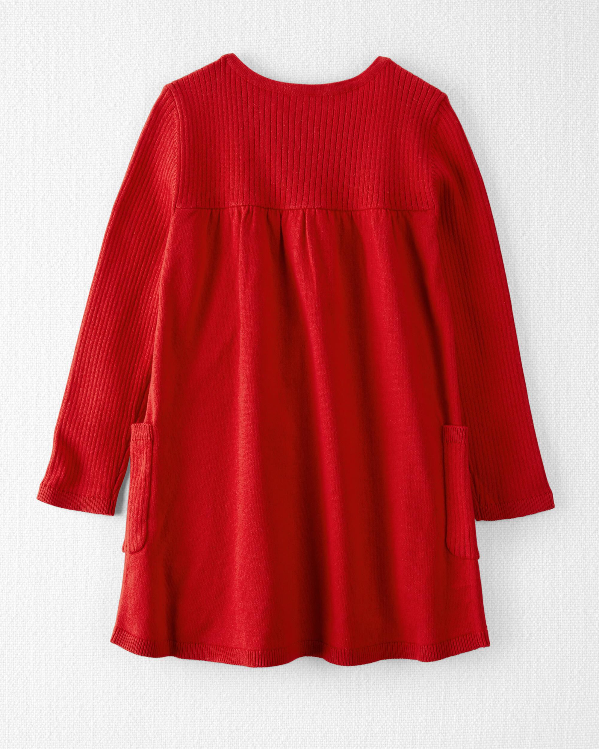 Carters red sweater dress top