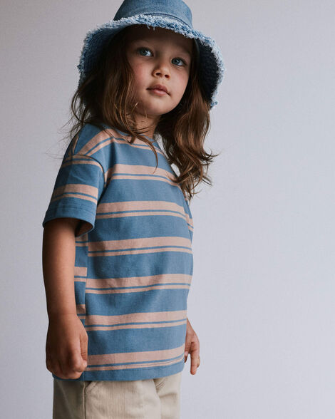 Toddler Relaxed Tee in Stripes - Slate Blue/Brown