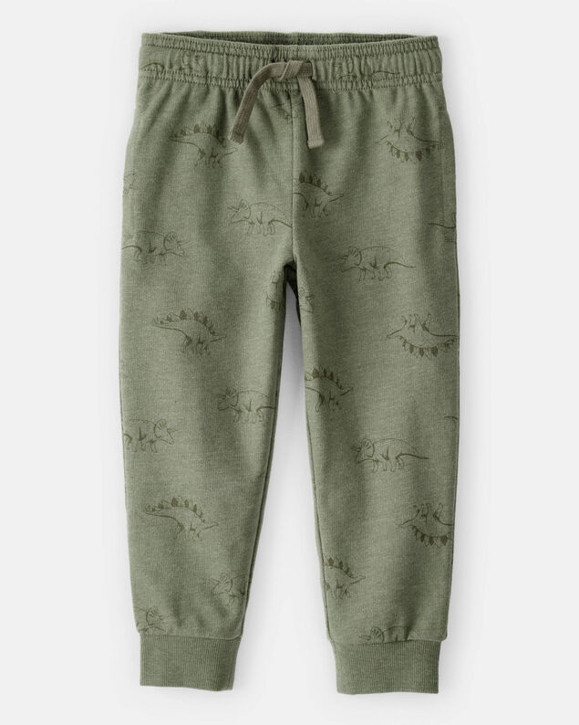 Product image 1 of Toddler Boy Dinosaur French Terry Jogger - Green
