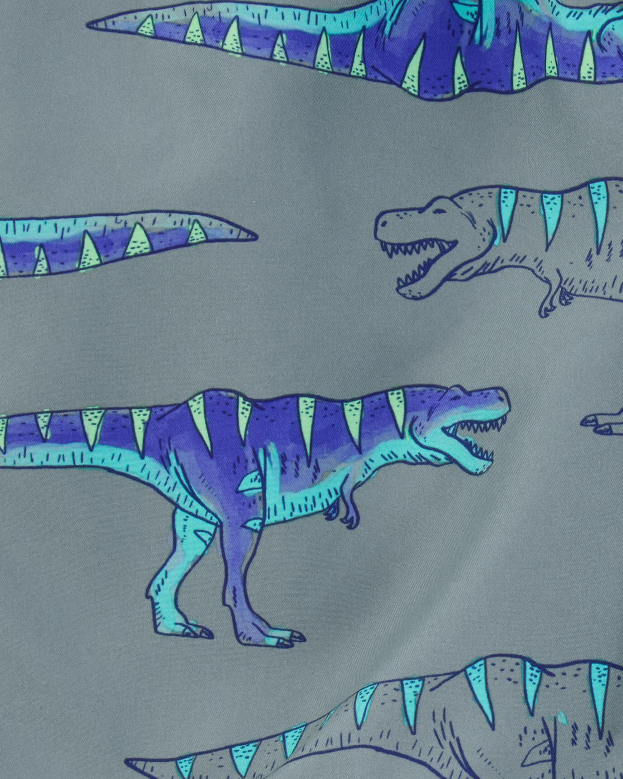 Carter s Kid Boys Dinosaur Swim Trunks 6 Grey