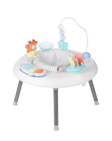 Seascape 2-in-1 Activity Center