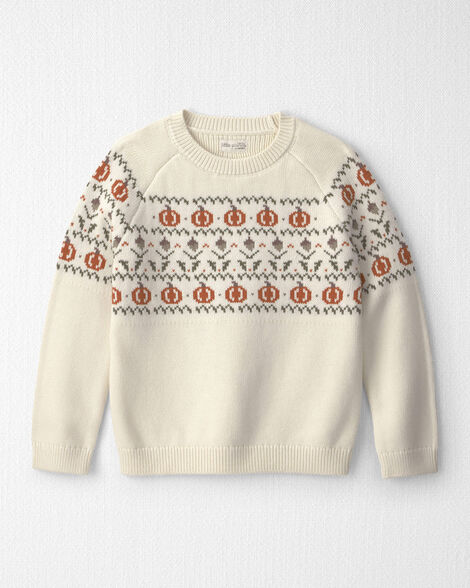 Kids Organic Cotton Fair Isle Sweater Knit Pullover