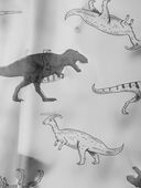 Transparent Dino Print - Kid Dinosaur Rain Jacket, Selected