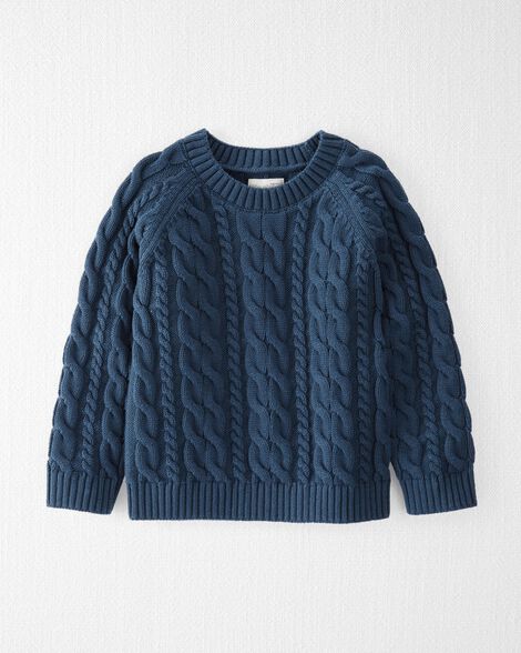  Product image 1 of Toddler Organic Cotton Fair Isle Sweater in Dark Sea Blue
