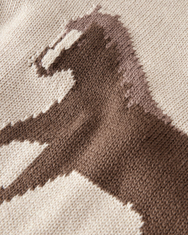 Product image 2 of Kid Organic Cotton Horse Sweater Knit