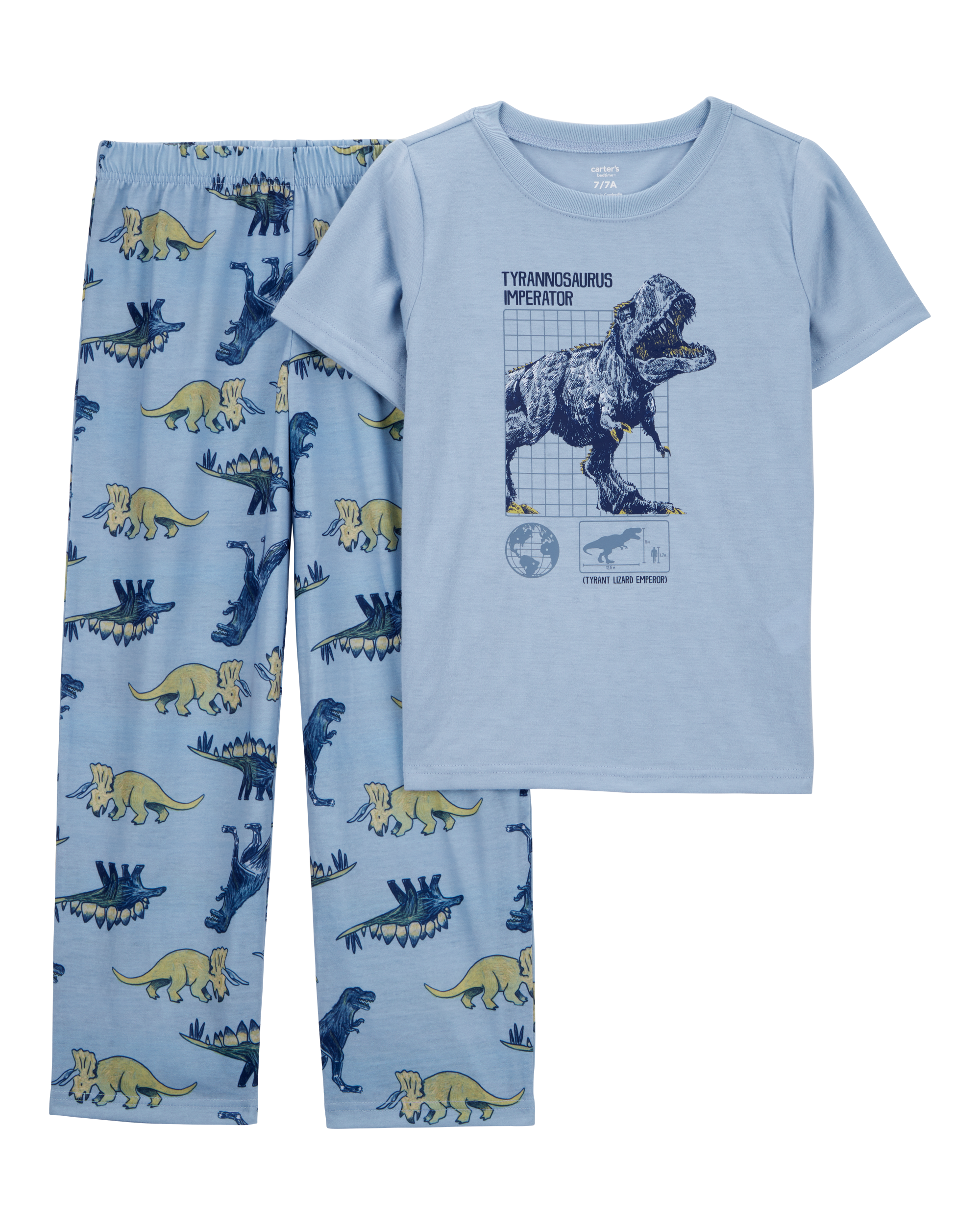 Boys Dinosaur Loose Fit 2-Piece Pajamas - Blue