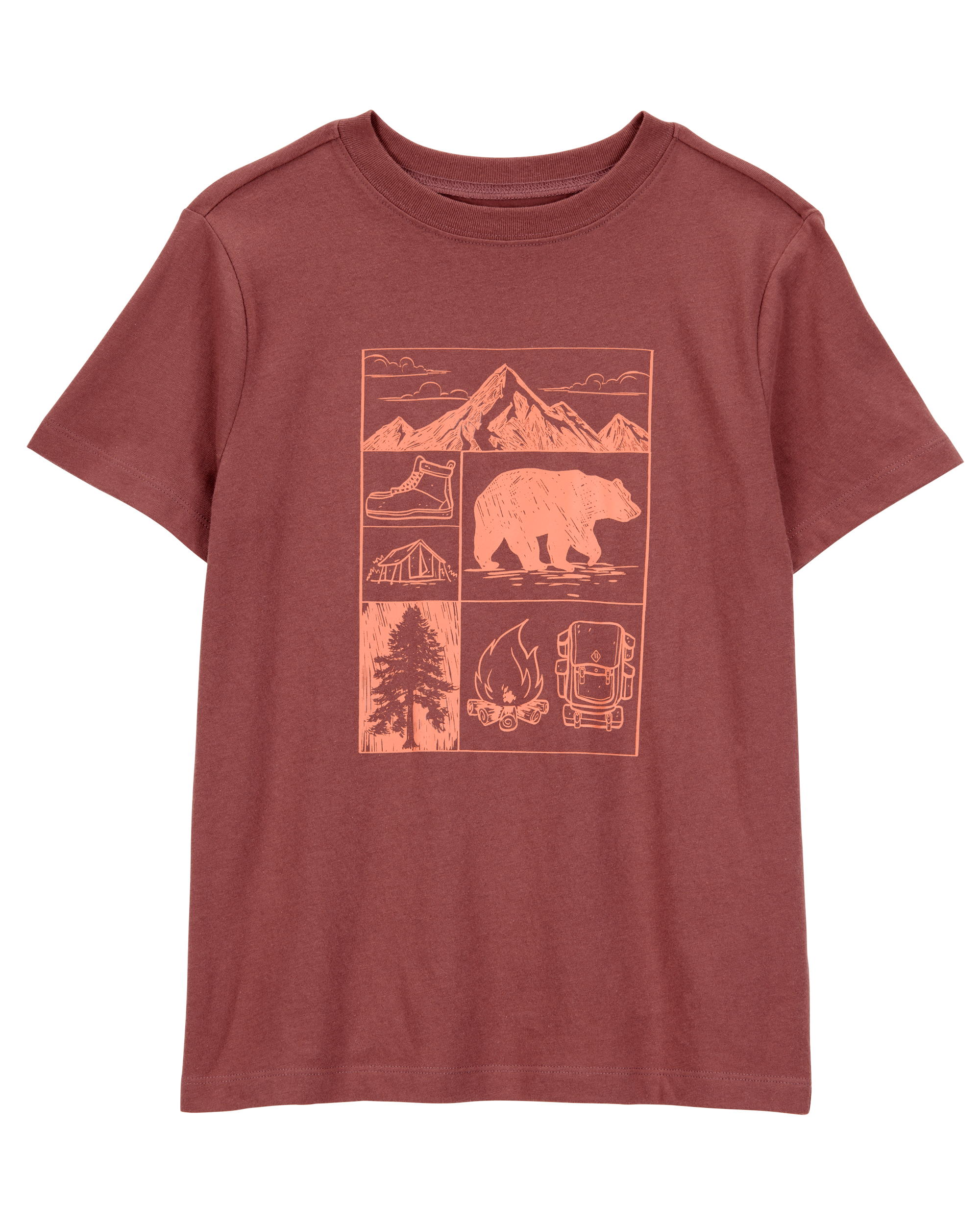 Boys Scenic Mountain Short-Sleeve Graphic Tee - Brown