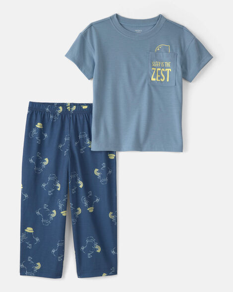 toddler boy bird loose fit 2-piece pajama set - blue