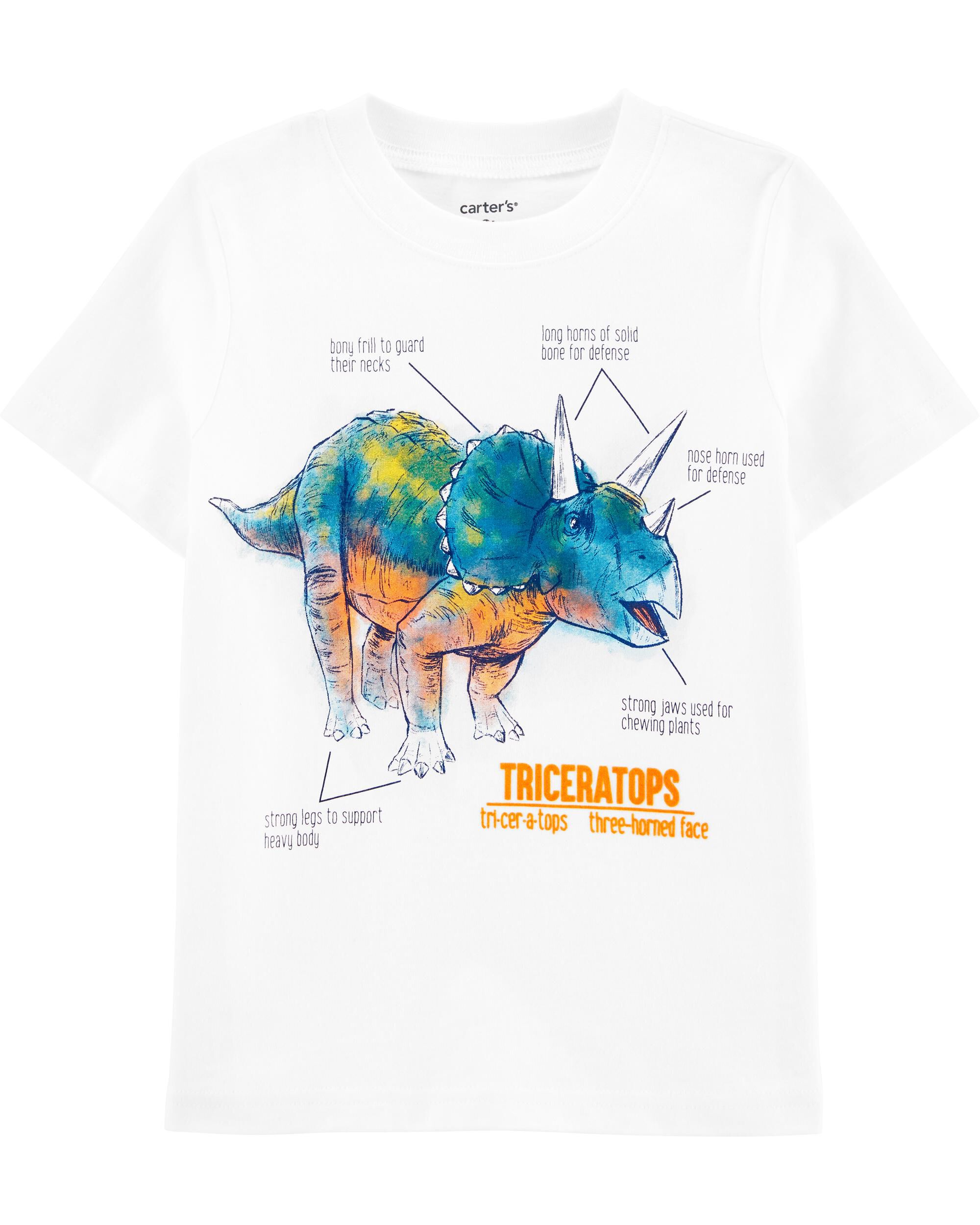 *CLEARANCE* Dinosaur Jersey Tee