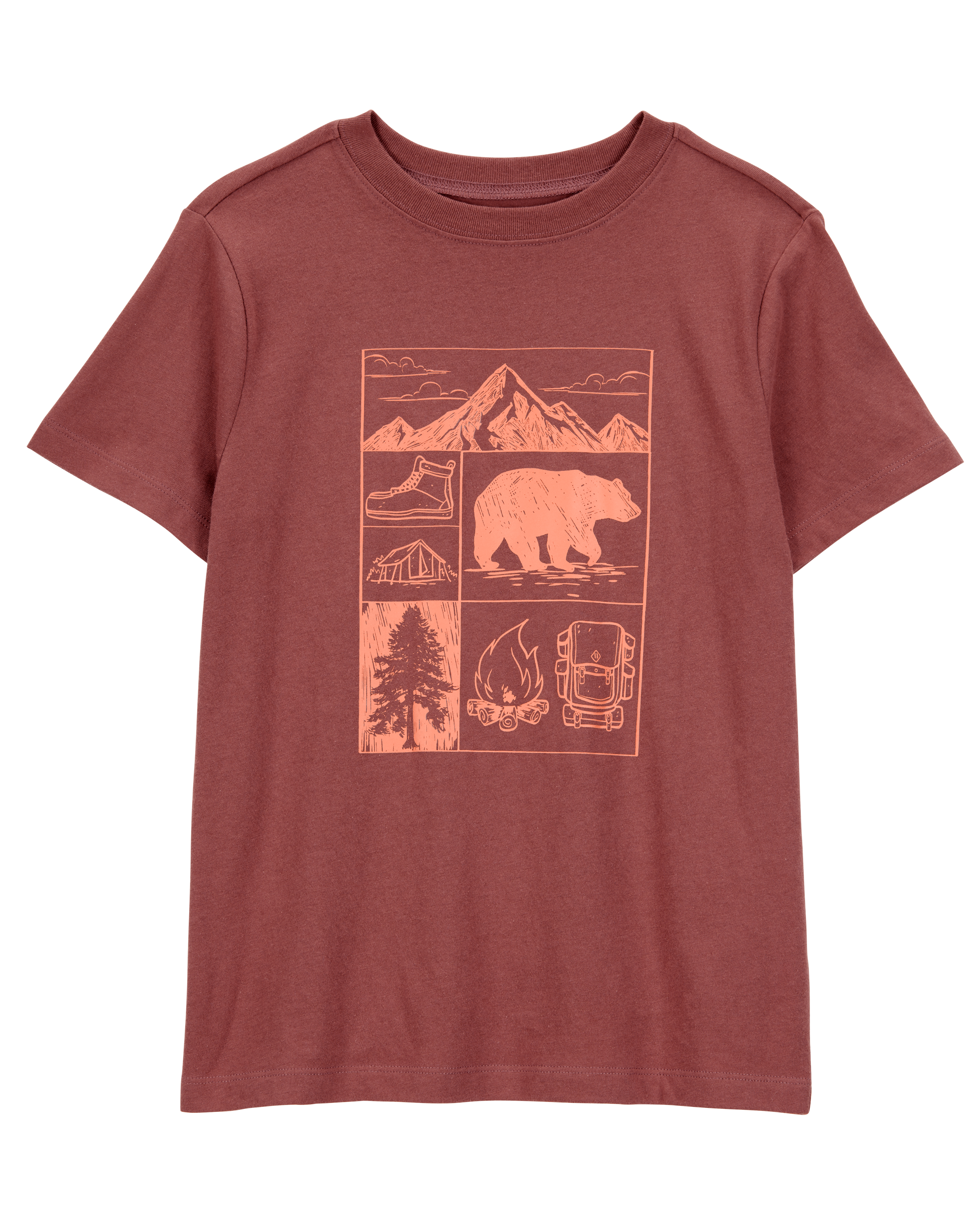 Boys Scenic Mountain Short-Sleeve Graphic Tee - Brown