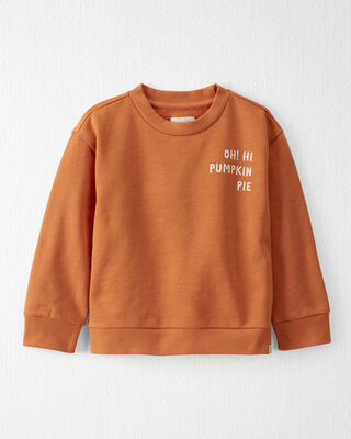 Product image 1 of Toddler Organic Cotton  Oh Hi Pumpkin Pie Pullover 