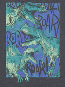 Grey - Kid Roar Dinosaur Graphic Tee, Selected