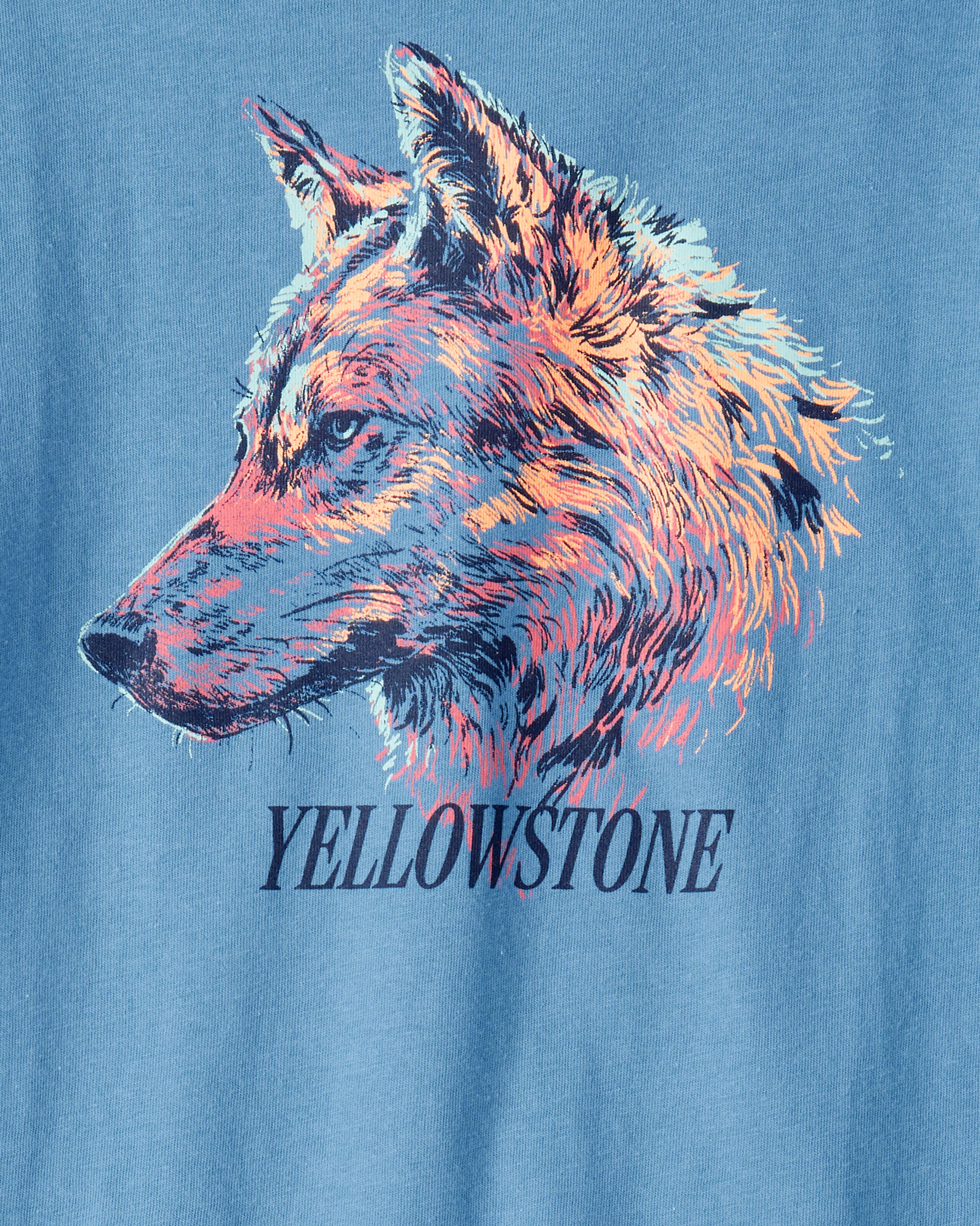 Boys Wolf Long-Sleeve Graphic Tee - Blue