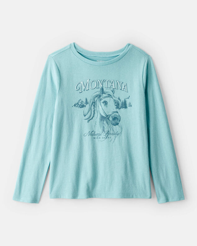Toddler French Terry Sweatshirt Made with Organic Cotton in Western Rodeo Print