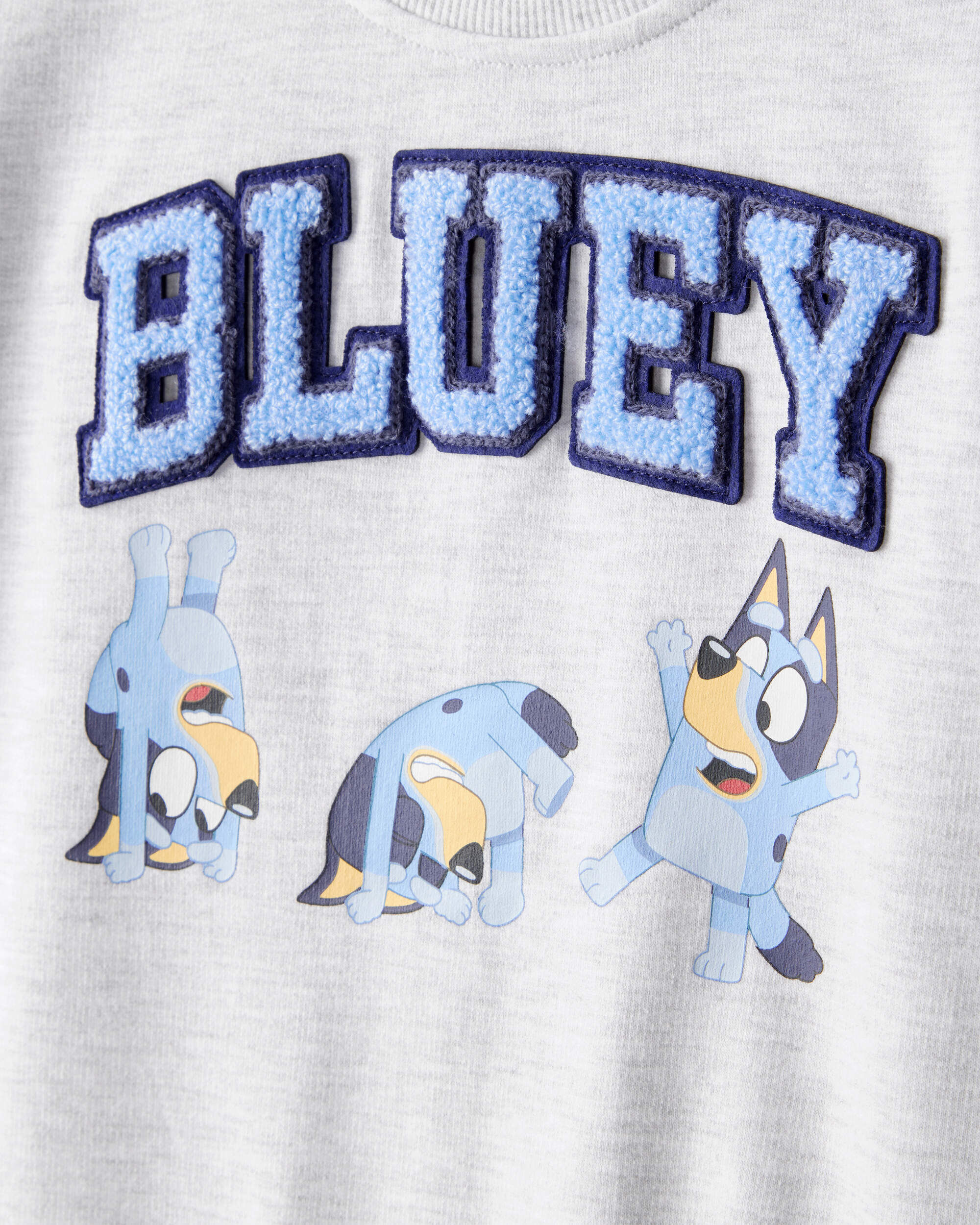 Toddler Boy Bluey Colorblock French Terry Sweatshirt - Grey