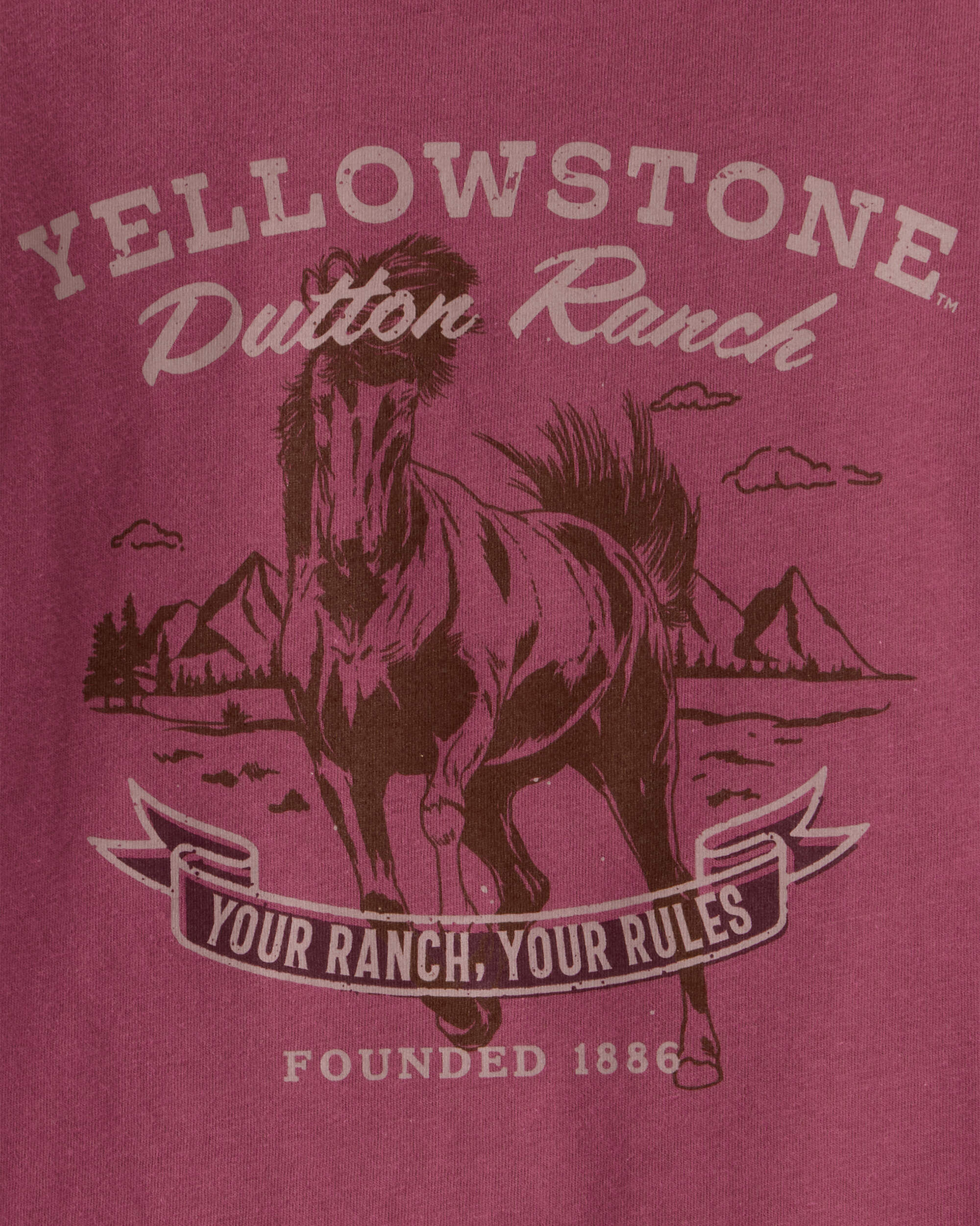Toddler Yellowstone Short-Sleeve Graphic Tee - Red