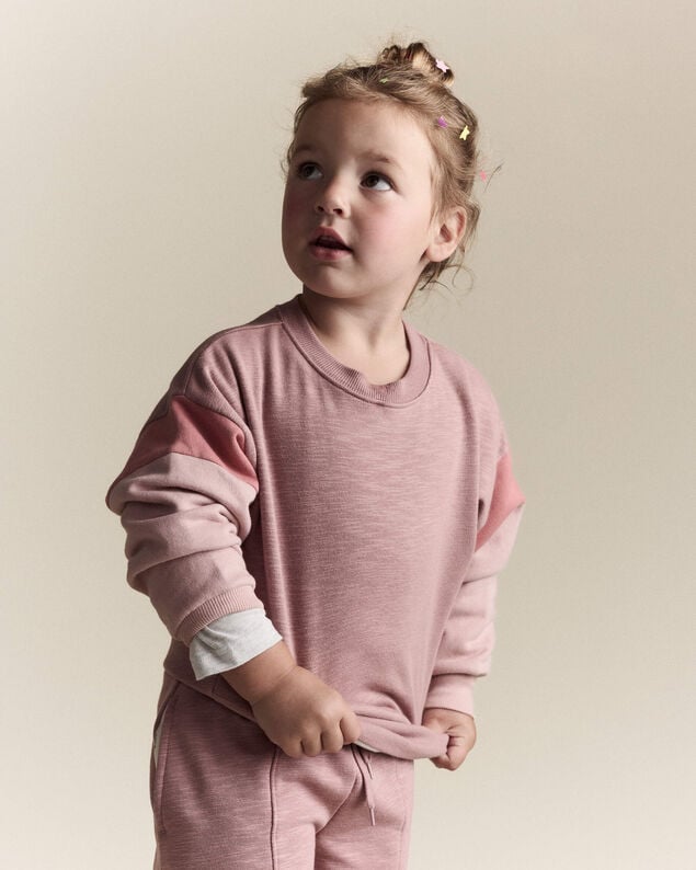 Product image 1 of Toddler Girl Colorblock Dolman-Sleeve Sweatshirt - Mauve