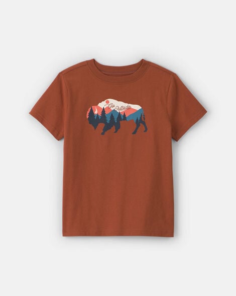 boys buffalo mountain graphic tee - brown