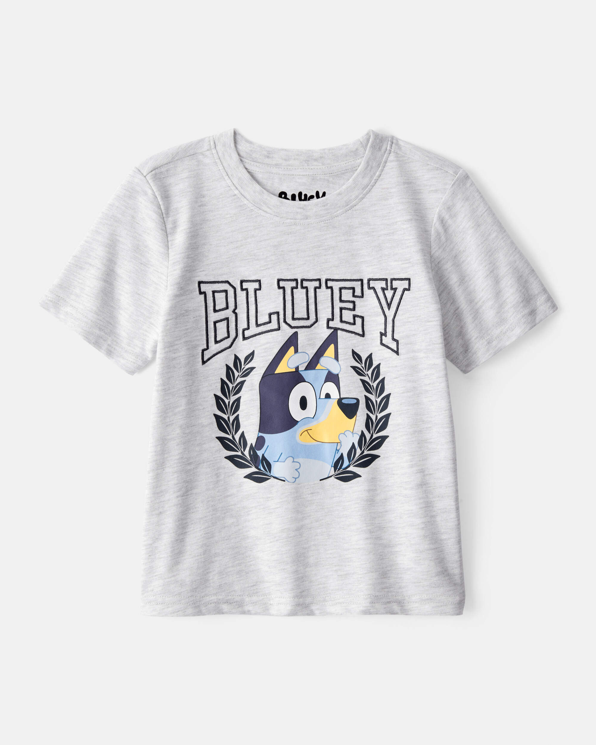 Toddler Boy Bluey Short-Sleeve Graphic Tee - Grey