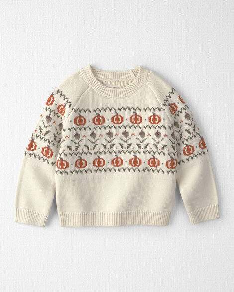 Toddler Organic Cotton Fair Isle Sweater Knit Pullover