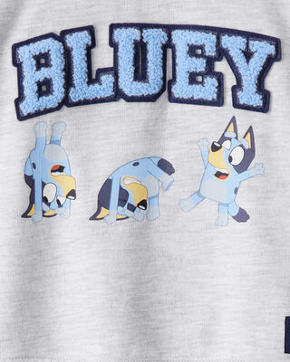 Product image 2 of Baby Boy Bluey Colorblock French Terry Sweatshirt - Grey