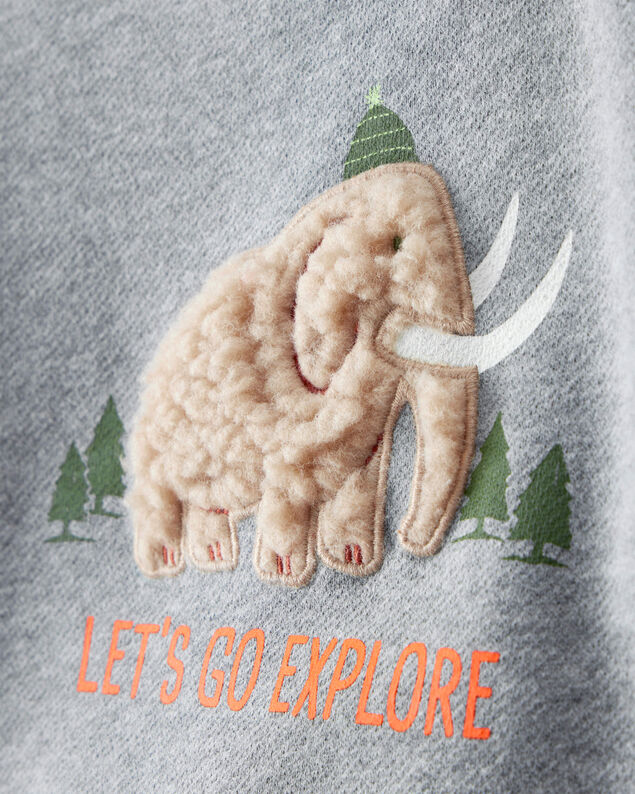 Product image 2 of Baby Boy Mammoth Pullover Sweatshirt - Grey