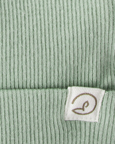  Product image 3 of Baby 2-Pack Organic Cotton Rib Caps - Juniper Moss, Blue