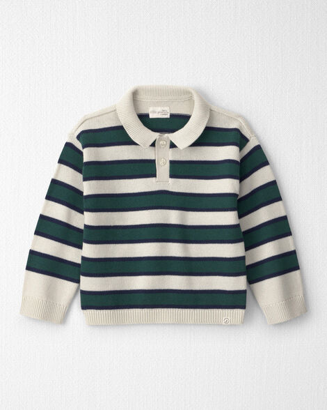 Toddler Boy Organic Cotton Sweater Knit Polo in Stripes