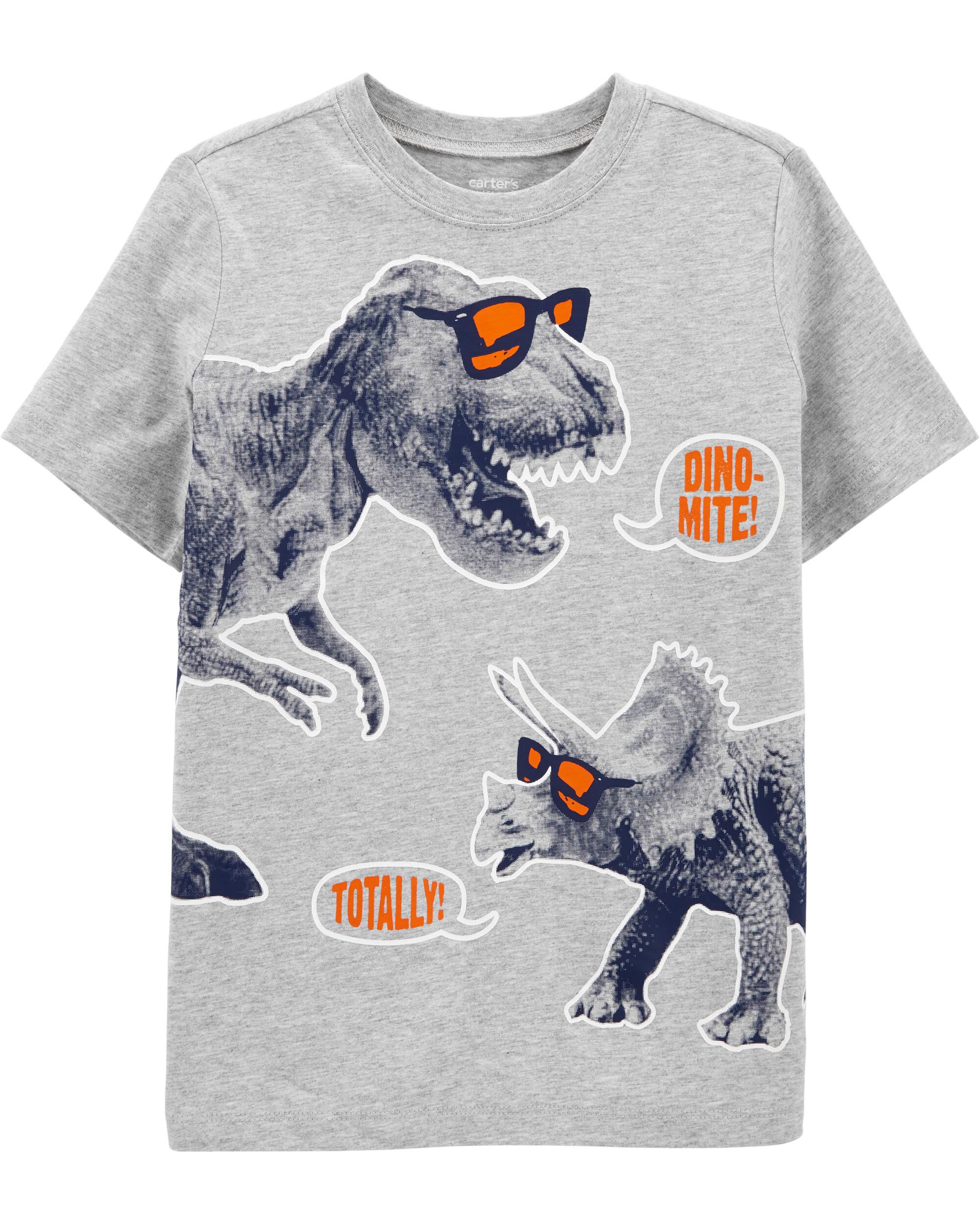 *CLEARANCE* Dinosaur Jersey Tee