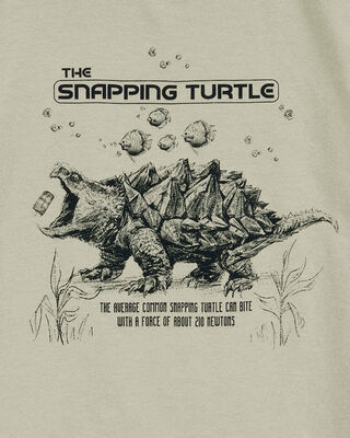 Product image 2 of Kid Turtle Short-Sleeve Graphic Tee - Grey